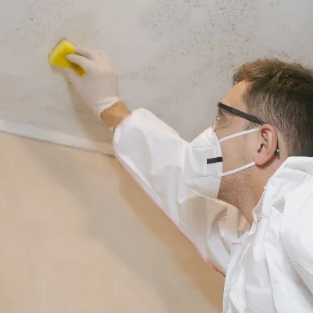 Mold Remediation Services in New Jersey