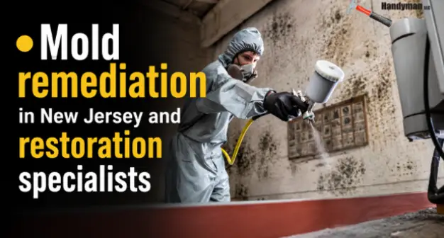 What to Expect During Mold Remediation in New Jersey: A Step-by-Step Guide